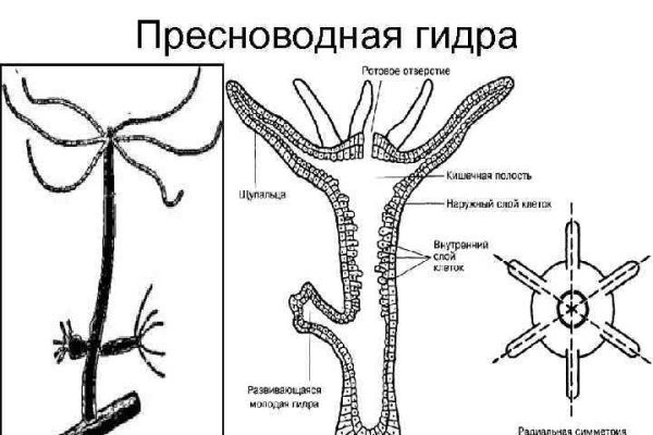 Сайт кракен онион