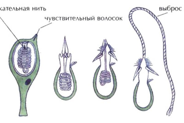 Сайт kraken в tor